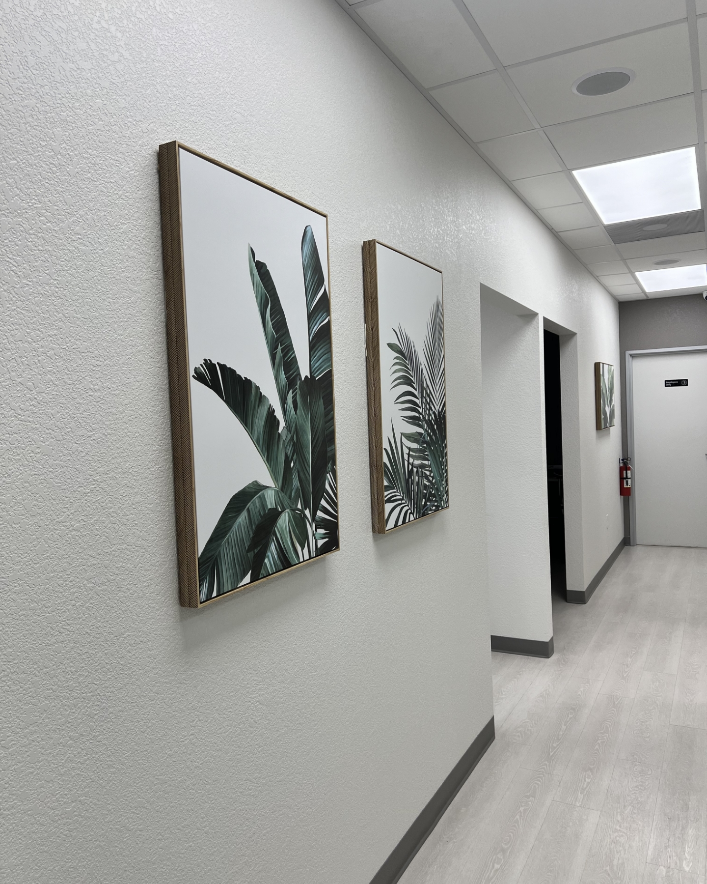 Empty chairs in dental office reception area